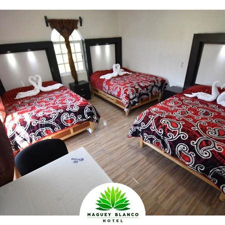 Hotel Maguey Blanco Ixmiquilpan Exteriér fotografie